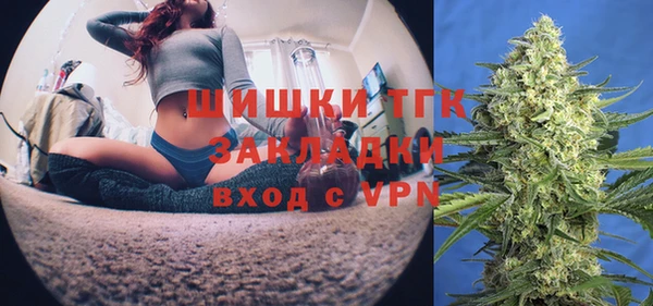 ГАЛЛЮЦИНОГЕННЫЕ ГРИБЫ Кулебаки