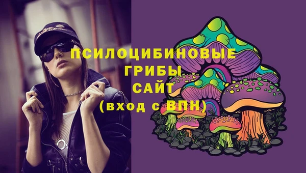 ГАЛЛЮЦИНОГЕННЫЕ ГРИБЫ Кулебаки