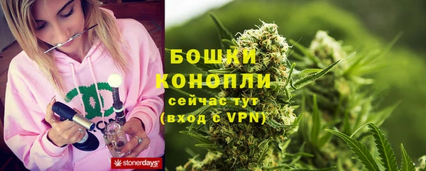 эйфоретик Ладушкин