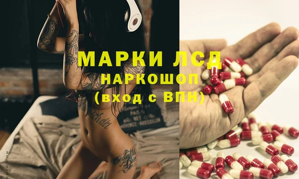 ГАЛЛЮЦИНОГЕННЫЕ ГРИБЫ Кулебаки